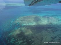 Leuchtende Farben am Great Barrier Reef