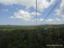 Skyrail Rainforest Cableway Cairns