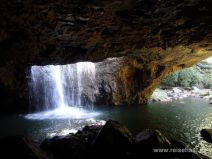 Natural Bridge im Springbrook Nationalpark