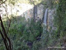 Purlingbrook Falls im Springbrook Nationalpark