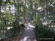 Weg zu den Dangar Falls