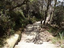 Treppenstufen auf dem Weg zu den Wentworth Falls