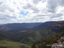 Wälder und Berge der Blue Mountains