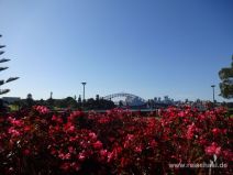 Opernhaus und Harbour Bridge vom Botanischen Garten aus