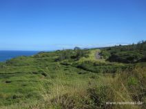 Wanderweg, Straße und Haleakala in der Ferne