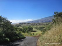 Straße südlich des Haleakala