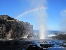 hohe Wasserfontäne am Blowhole