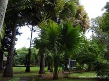 Weg im botanischen Garten