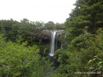 Rainbow Falls im Norden der Nordinsel