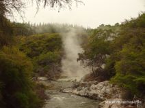 Dampf in Wai-O-Tapu