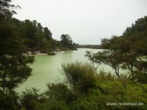 Ngakoro See in Wai-O-Tapu