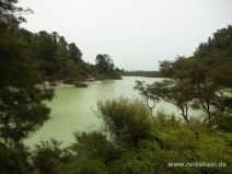 Ngakoro See in Wai-O-Tapu