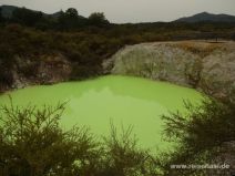 Giftig grüner See