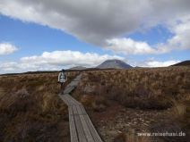 Wandern im Wind