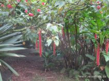 Ho'omaluhia botanischer Garten auf O'ahu