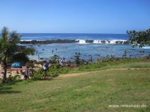 Shark's Cove