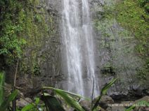 Manoa Falls auf Oahu