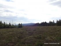 Brockenblick im Torfhausmoor