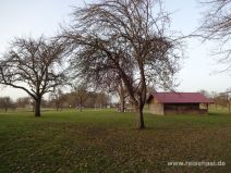 Wiese als Rastplatz am Parkplatz