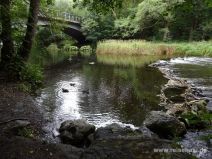 Badestelle an der Bode