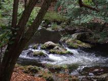 Stromschnellen in der Bode