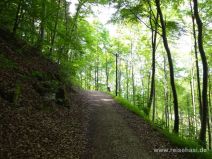 Breiter Weg im Wald