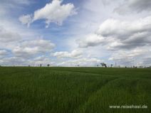 Feld auf dem Berg