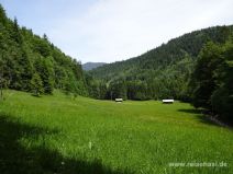 Schöne Wiese